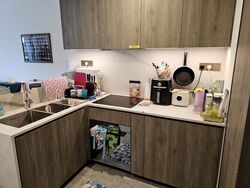 Leedon Green (D10), Condominium #512382181